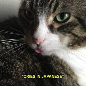 Meet your Posher, Brittney